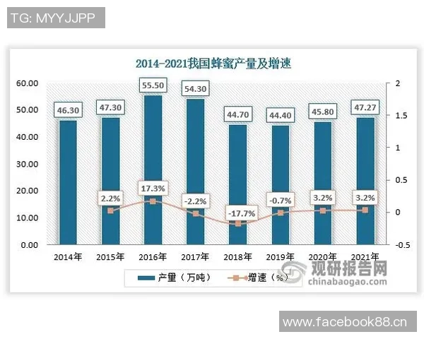 武汉极限运动队力量表现的数据分析与趋势研究